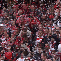 1 Fc Cologne Football GIF by 1. FC Köln