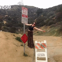 GIF by Tiffany