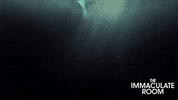 Screen Media Films GIF