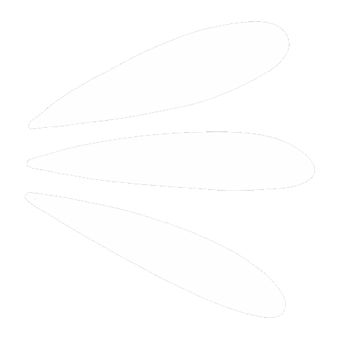 Boho Minimalist Sticker