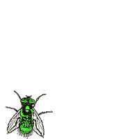 Bbc Fly Sticker by Greenway Records