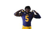 Ncaa Football Go Bears Sticker by Cal Athletics