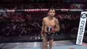Mixed Martial Arts Sport GIF by UFC