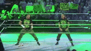 triple h wrestling GIF by WWE