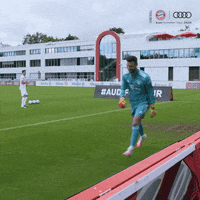 Robert Lewandowski Run GIF by FC Bayern Munich