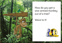 Monkey GIF