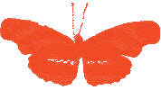 Magic Orange Sticker