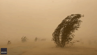 Dust Storm Sweeps Through Arizona's Yuma County