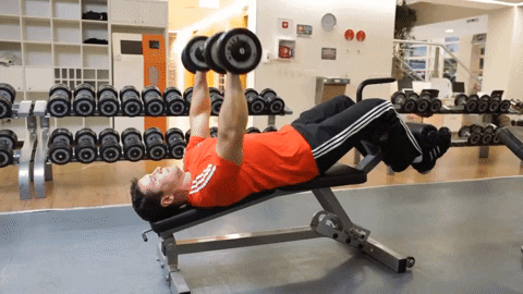 top10pulse giphyupload fitness workout personal training GIF