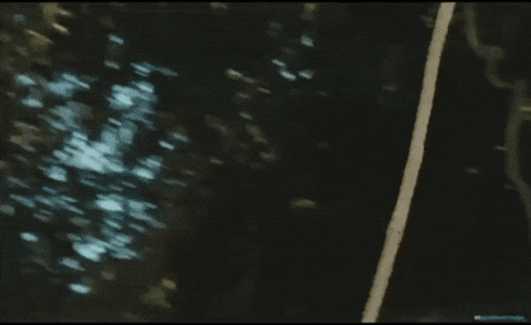 clauderain31 giphygifmaker GIF