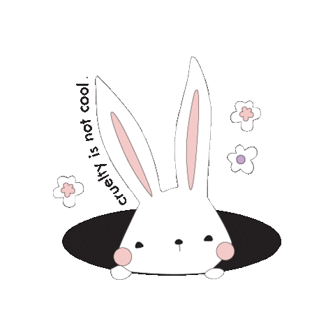 TsaraCosmetics giphyupload bunny rabbit bunnies Sticker