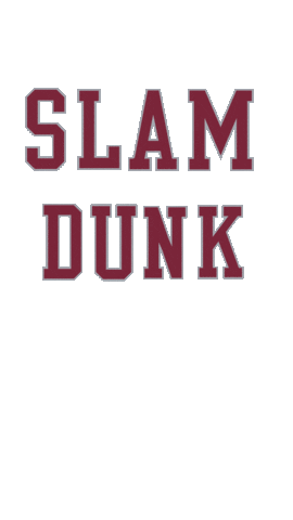 Slam Dunk Sticker by Santa Clara Broncos