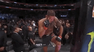 Anthony Showtime Pettis Ufc 241 GIF by UFC