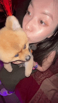 Leo Coda GIF