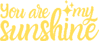 Shine Bright Happy Day Sticker by Sheila Streetman