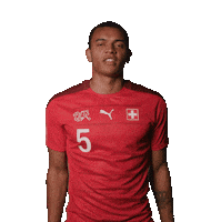 Swipe Up Manuel Akanji Sticker by Swiss Football Association