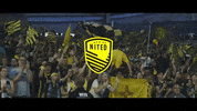 Usl Championship Soccer GIF by New Mexico United