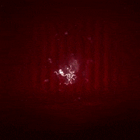 werkself hradekcy GIF by Bayer 04 Leverkusen