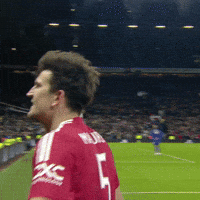 Happy Hands Up GIF by Manchester United