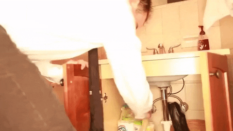 prawn GIF by Topshelf Records