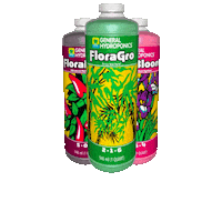 Hgc Sticker by HawthorneGC