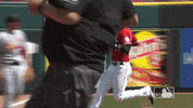 Lets Go Sport GIF by MLB