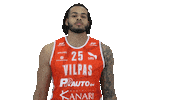 Sport Basketball Sticker by Basket_fi