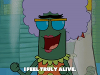 season 7 episode 13 GIF by SpongeBob SquarePants