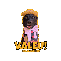 Pet Sticker