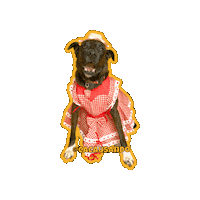 Happy Feliz Sticker