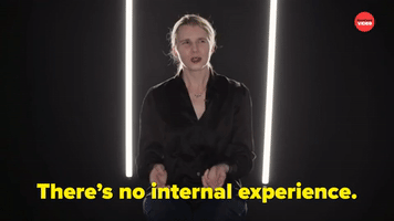 There's No Internal Experience