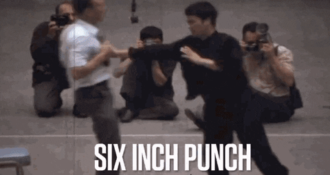 punch lee GIF