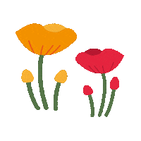 Travel Flower Sticker by Kew Gardens