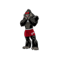 Gorillajoe Sticker by World Gym