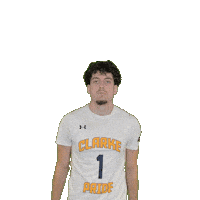 Mens Basketball Sticker by Clarke University