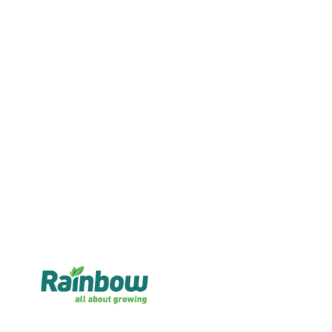 Rainbow Sticker by rainbowagrobrasil