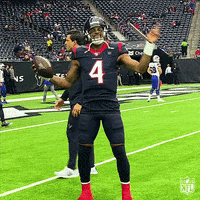 Happy Houston Texans GIF by NFL
