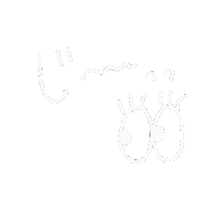 vega_alt 見る ジー vegaalt みつめる Sticker