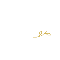 revuclinic revu revu clinic revu klinika esthetics clinic Sticker