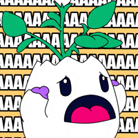 Nervous Oh No GIF by Magic Eden
