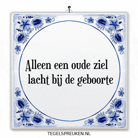 Humor Nl GIF by Tegelspreuken.nl