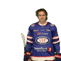 Goal Blake Sticker by VIF Hockey