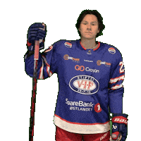 Stian Sticker by VIF Hockey