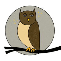 lavanyabist stars bird sleepy drunk GIF