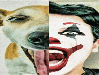 danielgontijo coringa gontijo coringando daniel gontijo GIF