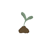 Plant Sticker