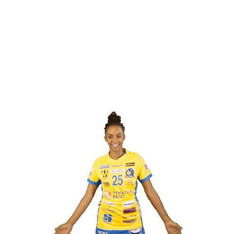 Handball Sticker by com1sport