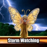 Drama Rain GIF by BuddhaFlyJourney