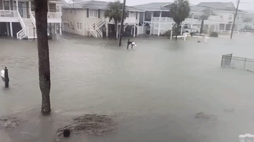 Hurricane Surge Causes Flooding in North Myrtle Beach