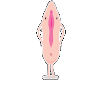 nosotraschile vulva nosotras nosotraschile zona v Sticker